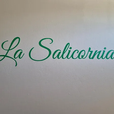 La Salicornia * تّشيرفييا